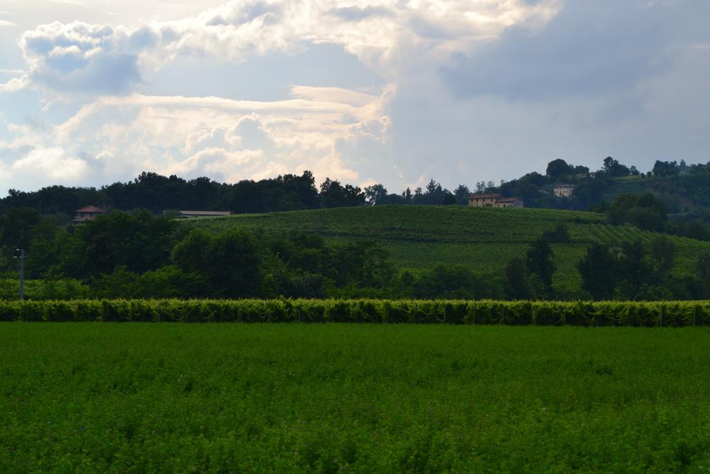 Bed And Breakfast Villa Novella Crocetta del Montello Екстер'єр фото